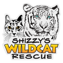 Shizzys Wildcat Rescue