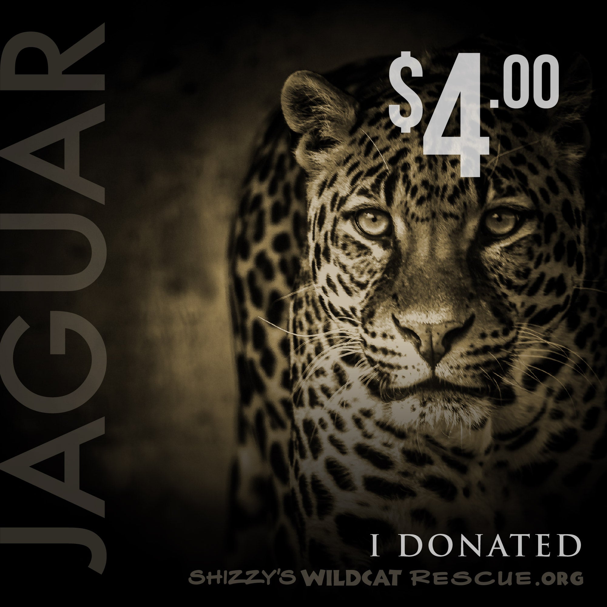 $4 Donation: JAGUAR