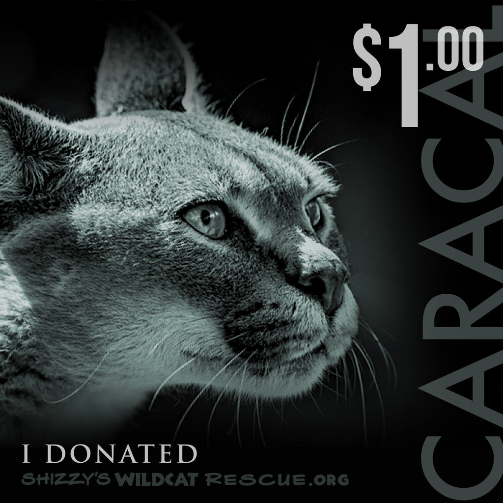 $1 Donation: CARACAL