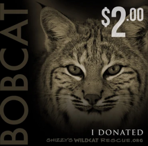 $2 Donation: BOBCAT