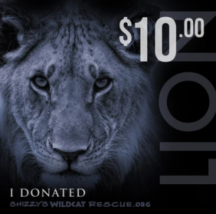 $10 Donation: LION